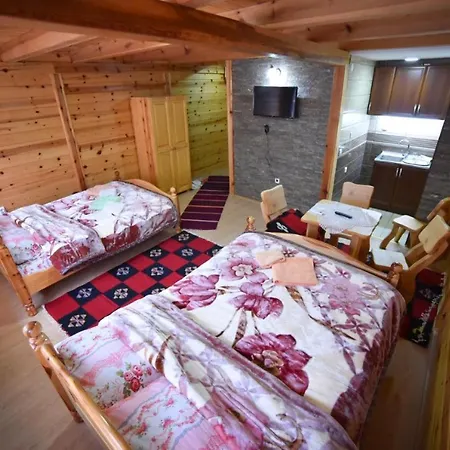 Izvor Bazeni Vrela Gæstehus