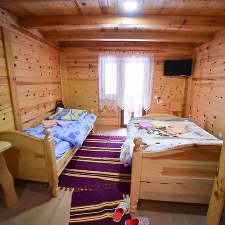 Izvor Bazeni Vrela 4* Užice