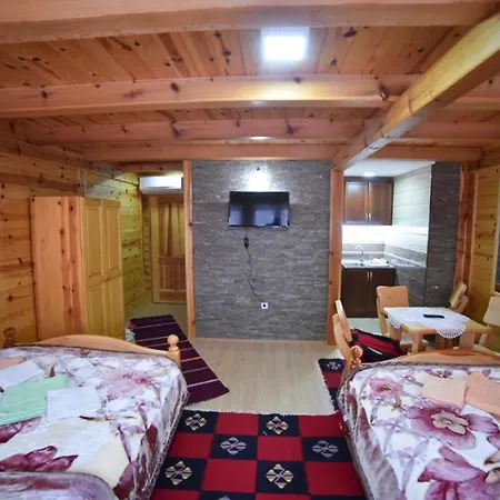 Izvor Bazeni Vrela בית הארחה 4*